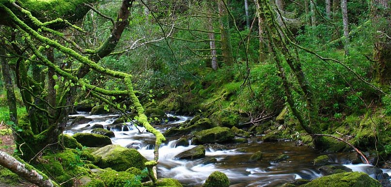 Oszczędzanie wody. Jak to robić i czy to jest ekologiczne?