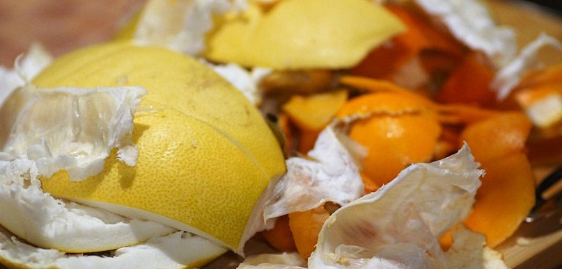 Czy wszystkie resztki to bioodpady?