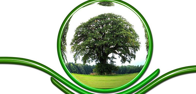  Ekologia, ochrona środowiska i ochrona przyrody - czym są i jak możemy…