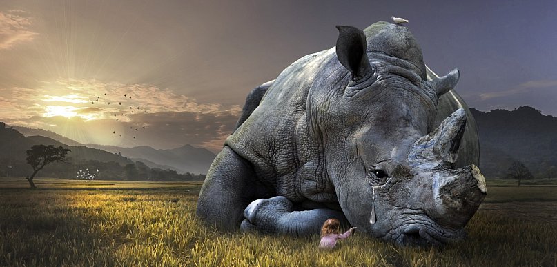 Zagrożone wyginięciem zwierzęta - jak możemy im pomóc?