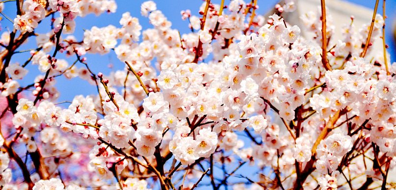 "Czyste Powietrze". Komplet narzędzi, które ułatwią całą procedurę