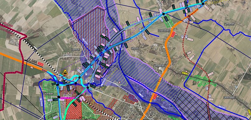  "Zwierzęta ważniejsze niż ludzie" - Pulit zapowiada odwołanie w sprawie…