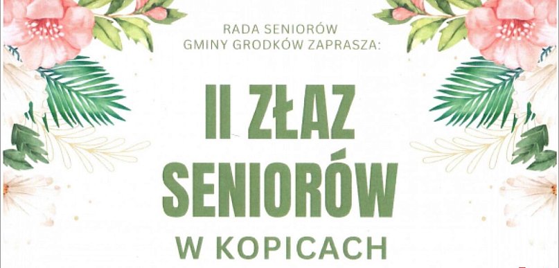 II Złaz Seniorów w Kopicach. Muzyka, zwiedzanie i wspólne świętowanie