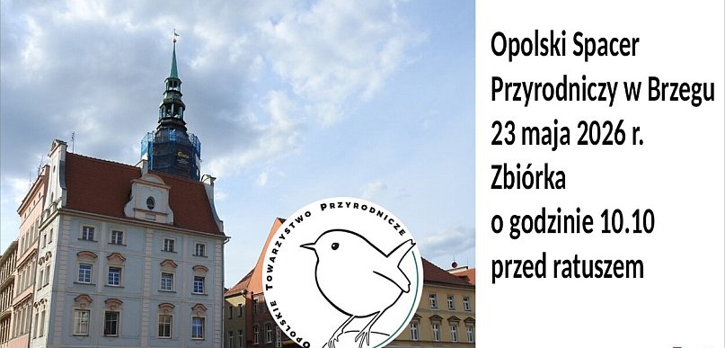 Rynek, Odra i parki. Przyrodnicza wyprawa przez Brzeg