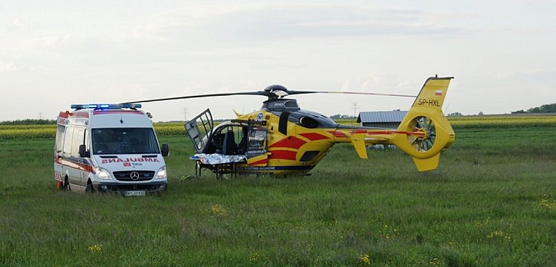 8 latek pogryziony przez psa w Szydłowicach. Na miejsce wezwano LPR