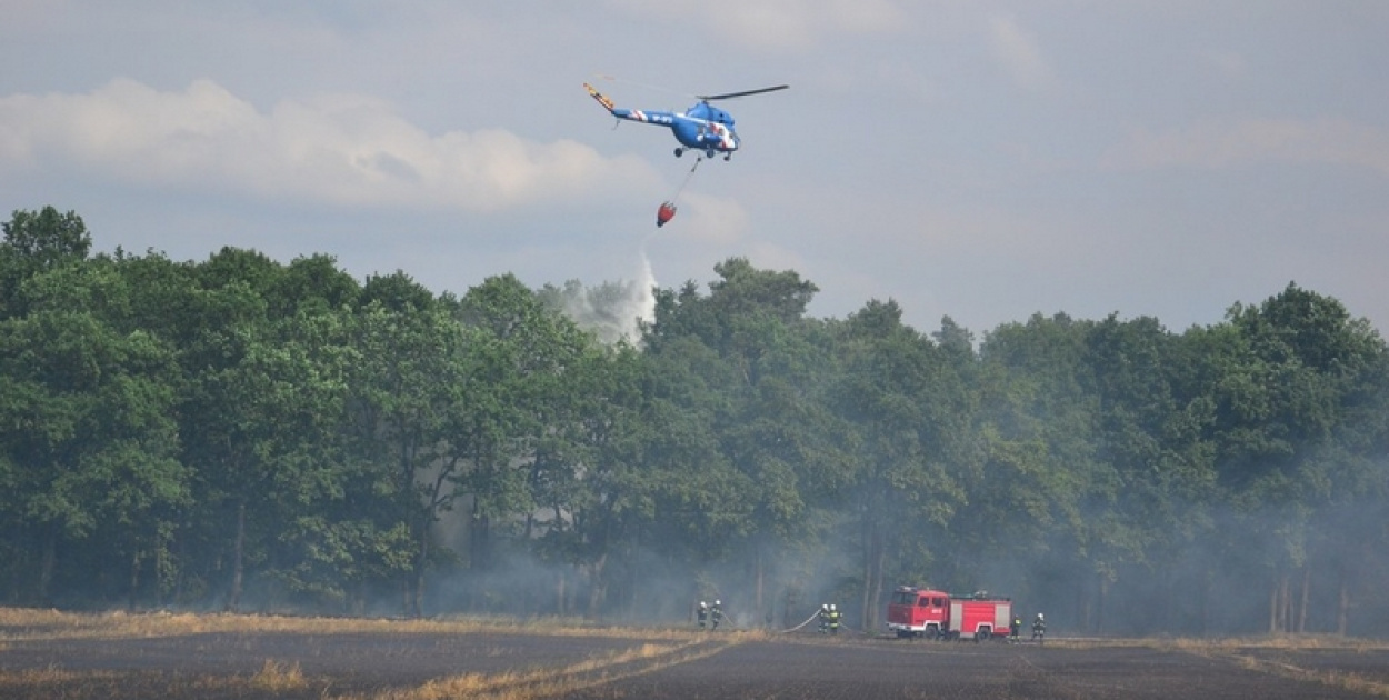 Pożar lasu i zboża w Kopicach. Helikopter gaśniczy w akcji