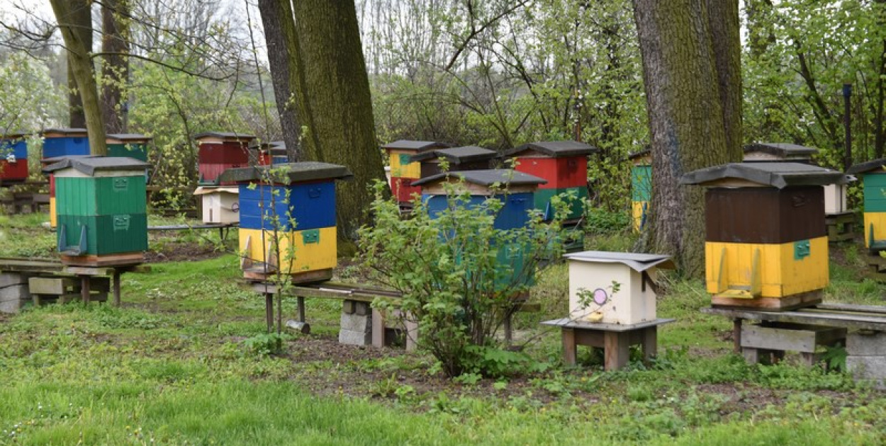 Kronika 112 - Ukradł ... ule z pszczołami