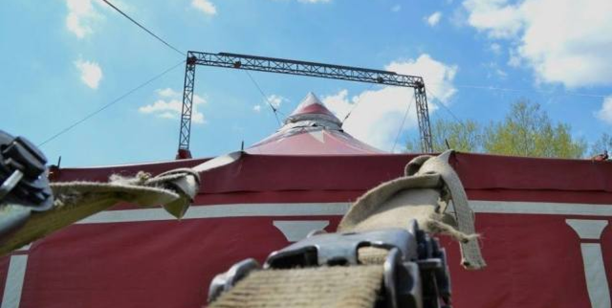  Cyrk Juremix z artystami programu "Mam talent" przyjedzie do Brzegu. Mamy…