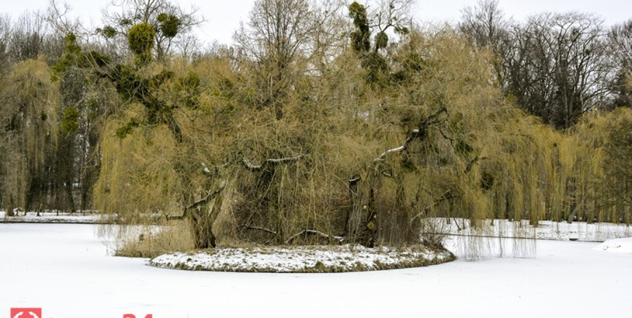 Brzeg zimą cz. 2 - brzeskie parki i "górka" przy ul. Wyszyńskiego