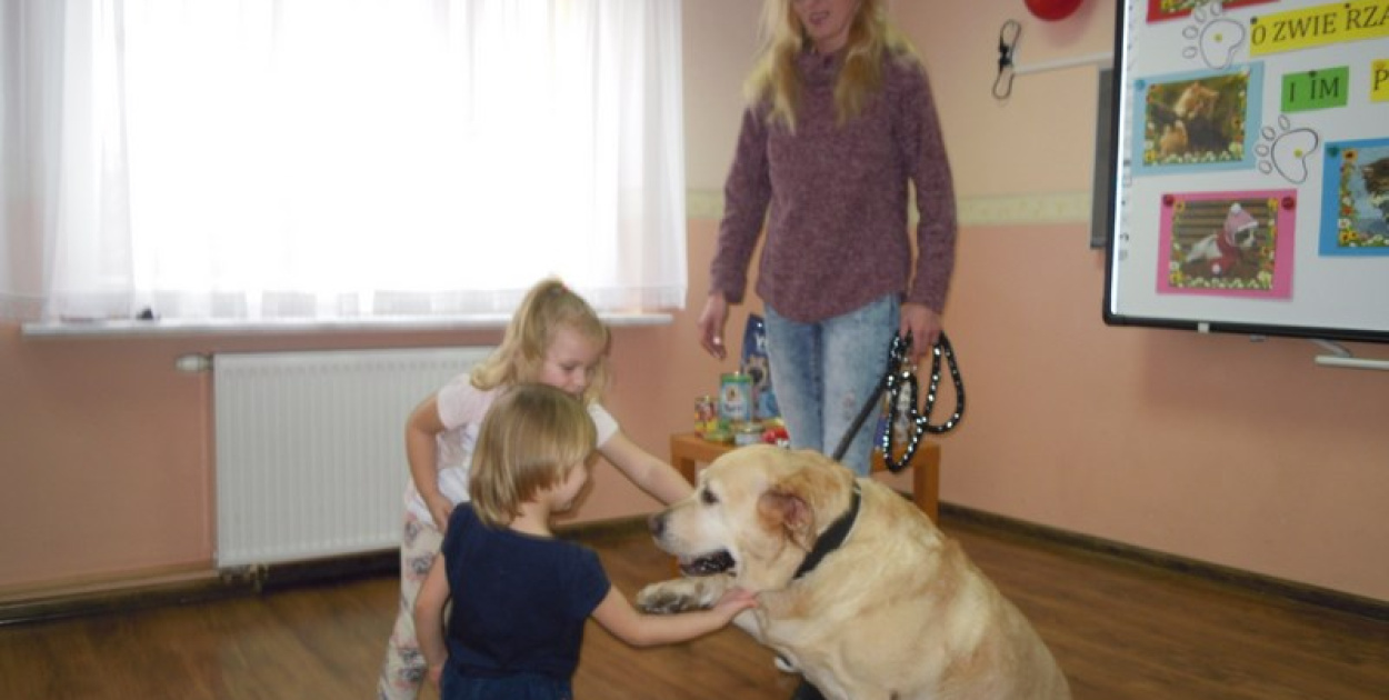 Przedszkolaki kochają zwierzaki