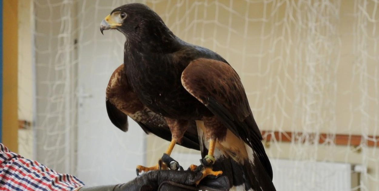 Odlotowe lekcje w Ósemce