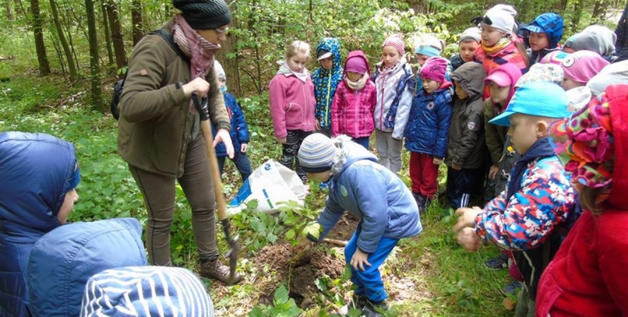 Przedszkolaki z "Jedynki" w lesie