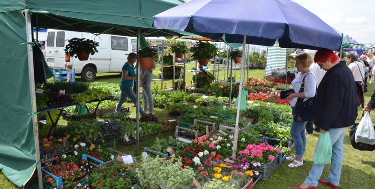 Święto Powiatu Brzeskiego dzień 1. [fotorelacja]