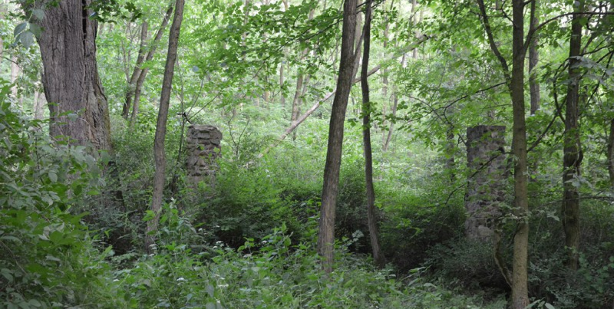 Szukają Żołnierzy Wyklętych