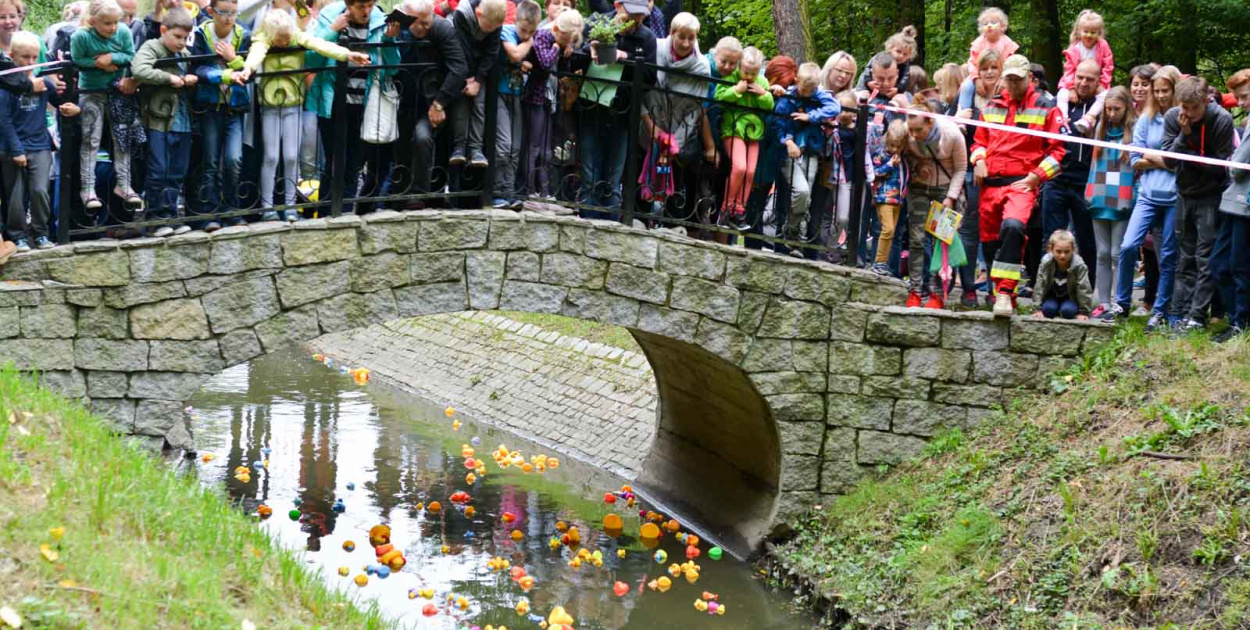215 kaczek stanęło do wyścigu w Parku Wolności!