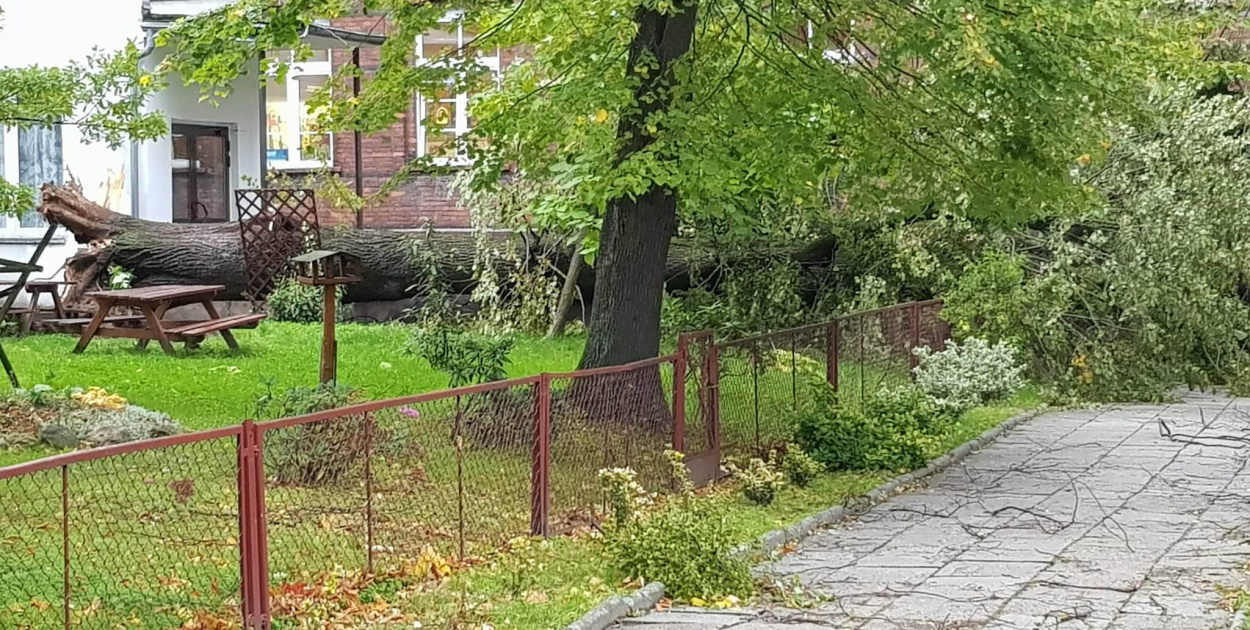  Połamane drzewa, zerwane dachy i brak prądu. Strażacy interweniowali w…