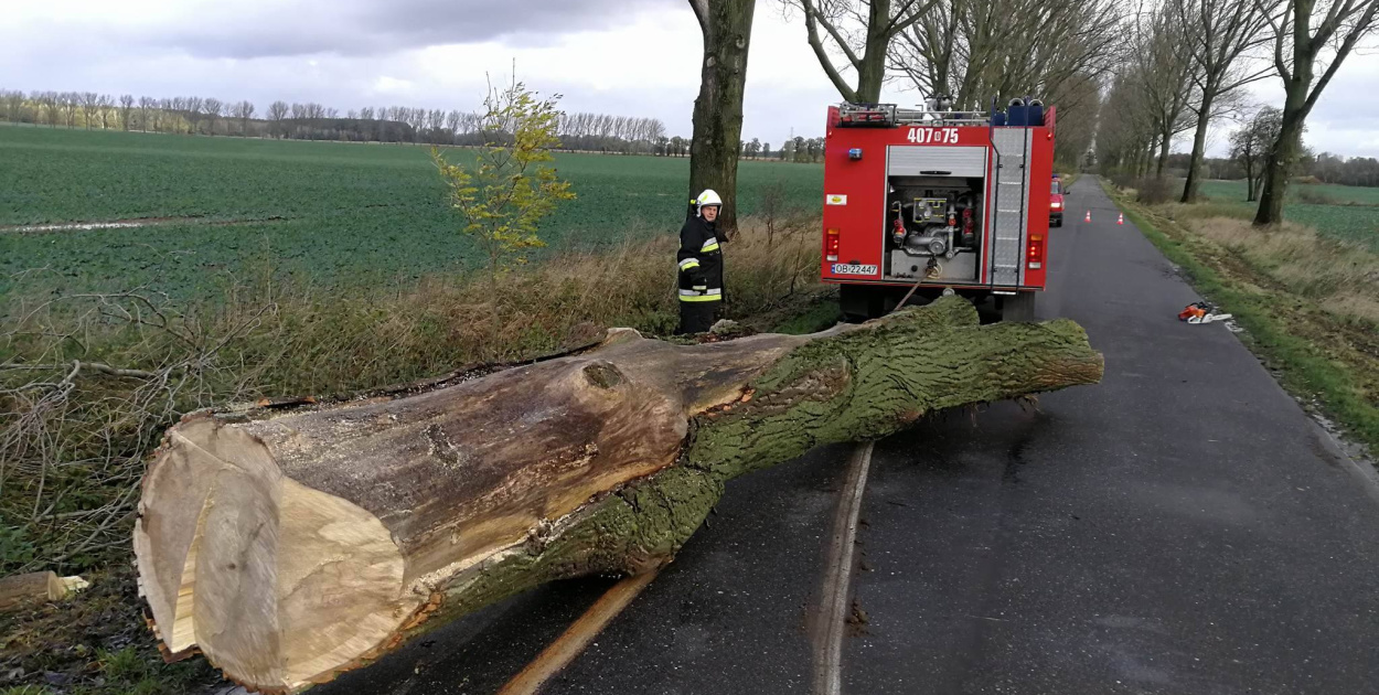  Ponad 50 interwencji strażaków. Trwa szacowanie strat po przejściu…