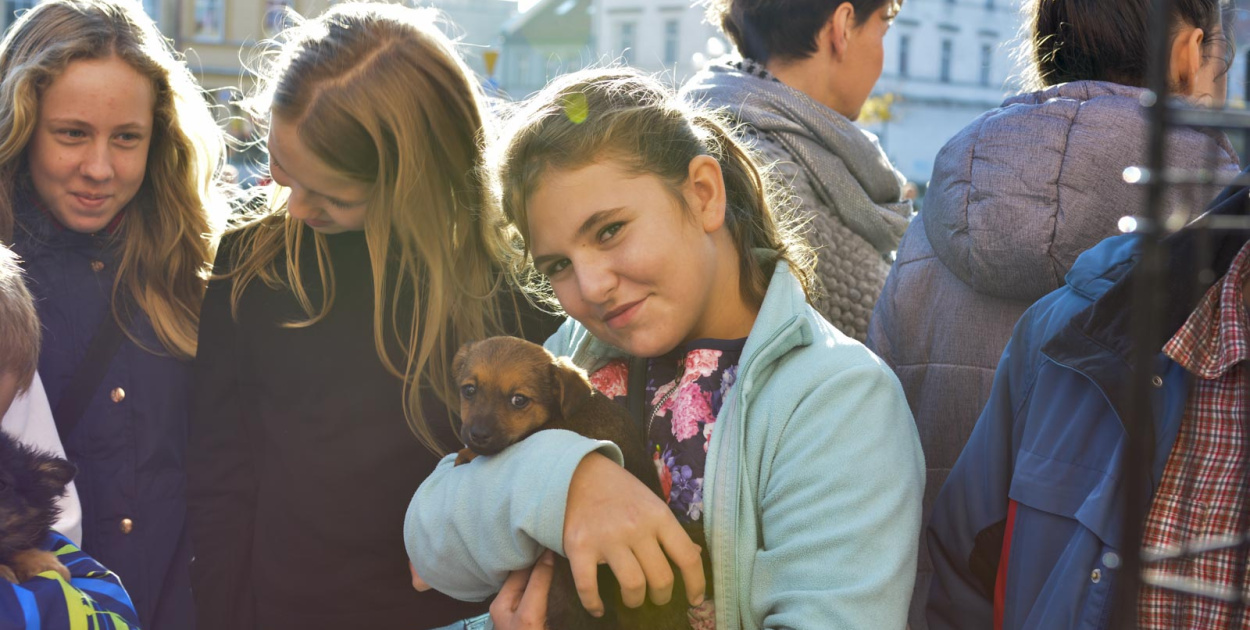 VI piknik rodzinny pn. "Wspomagamy Miśki" w Grodkowie [fotorelacja]