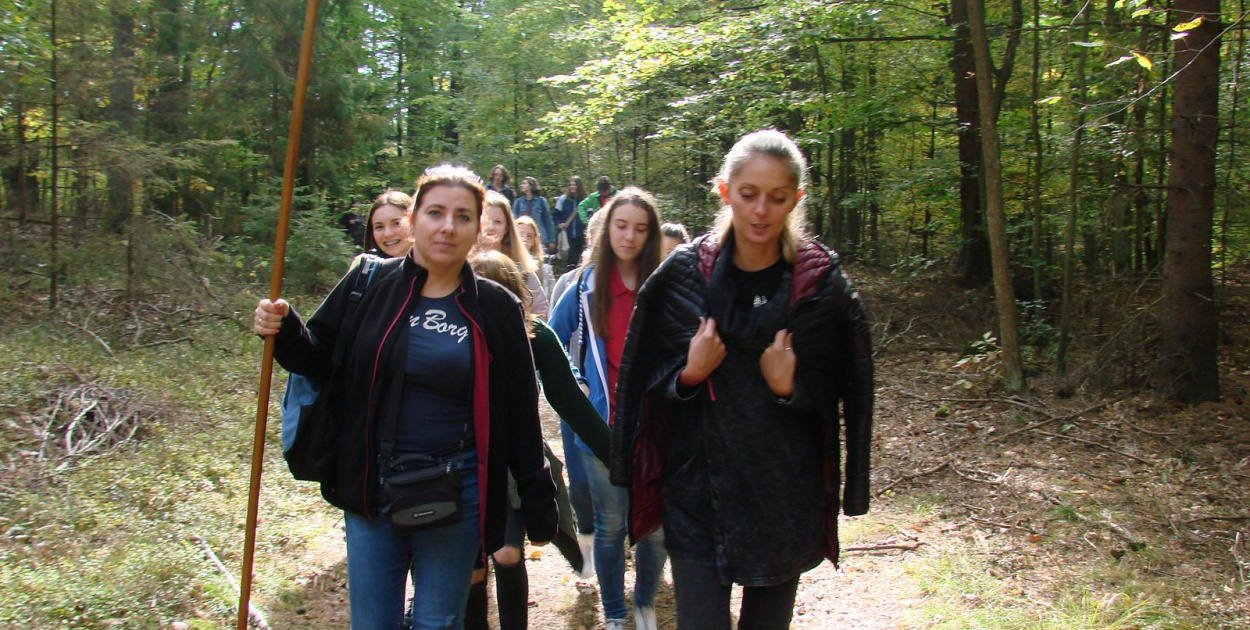 Nauka nie idzie w las