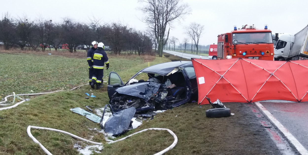 Dwie osoby zginęły w wypadku na DK 94 pod Strzelnikami