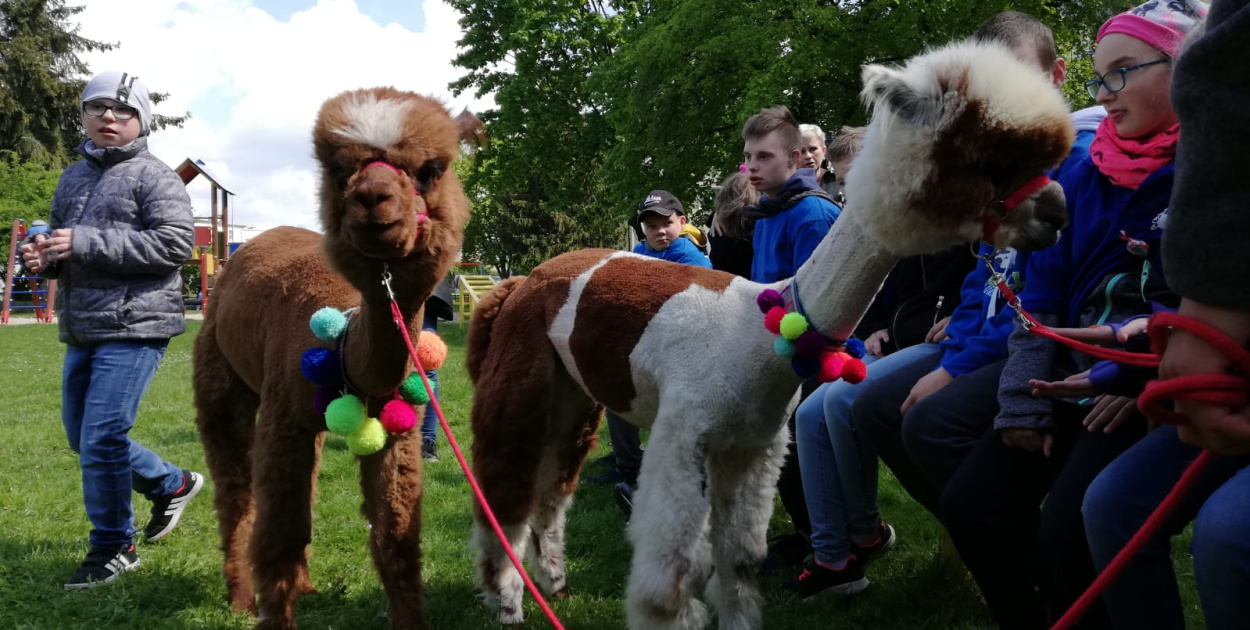 "Dzień Godności" w Zespole Szkół Specjalnych w Brzegu
