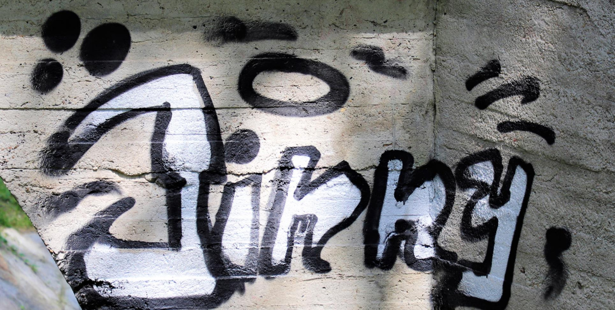 Gmina Brzeg wyznaczyła nagrodę za pomoc w ujęciu wandali