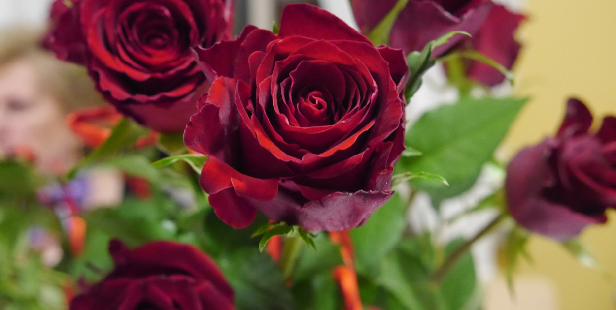 Wyjątkowy Dzień Kobiet w Dobrzyniu [zdjęcia]