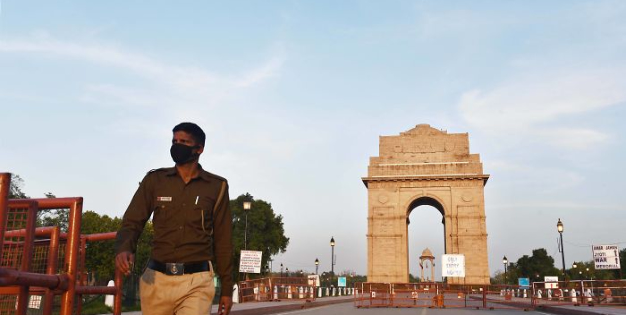 Natura odżywa w czasie kwarantanny, kiedy ludzie zamykają się w domach