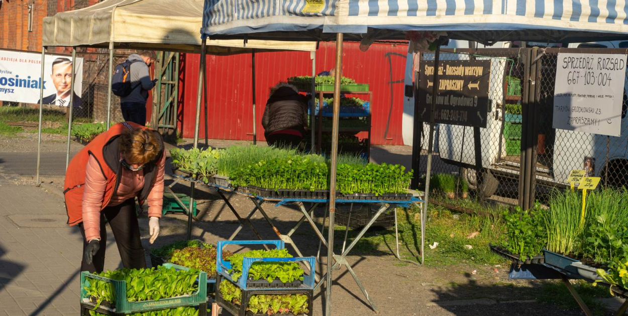Sprzedaż płodów rolnych i art. spożywczych na targowisku