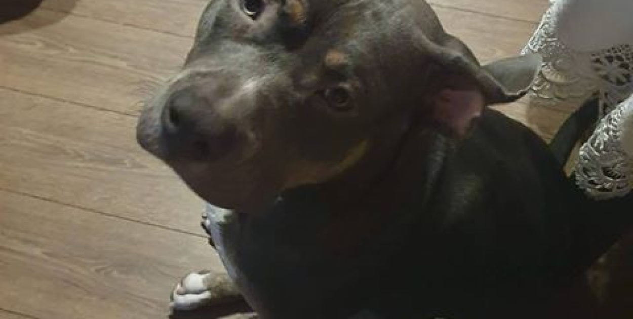 Nato został odnaleziony, ale.. wciąż jest poszukiwany