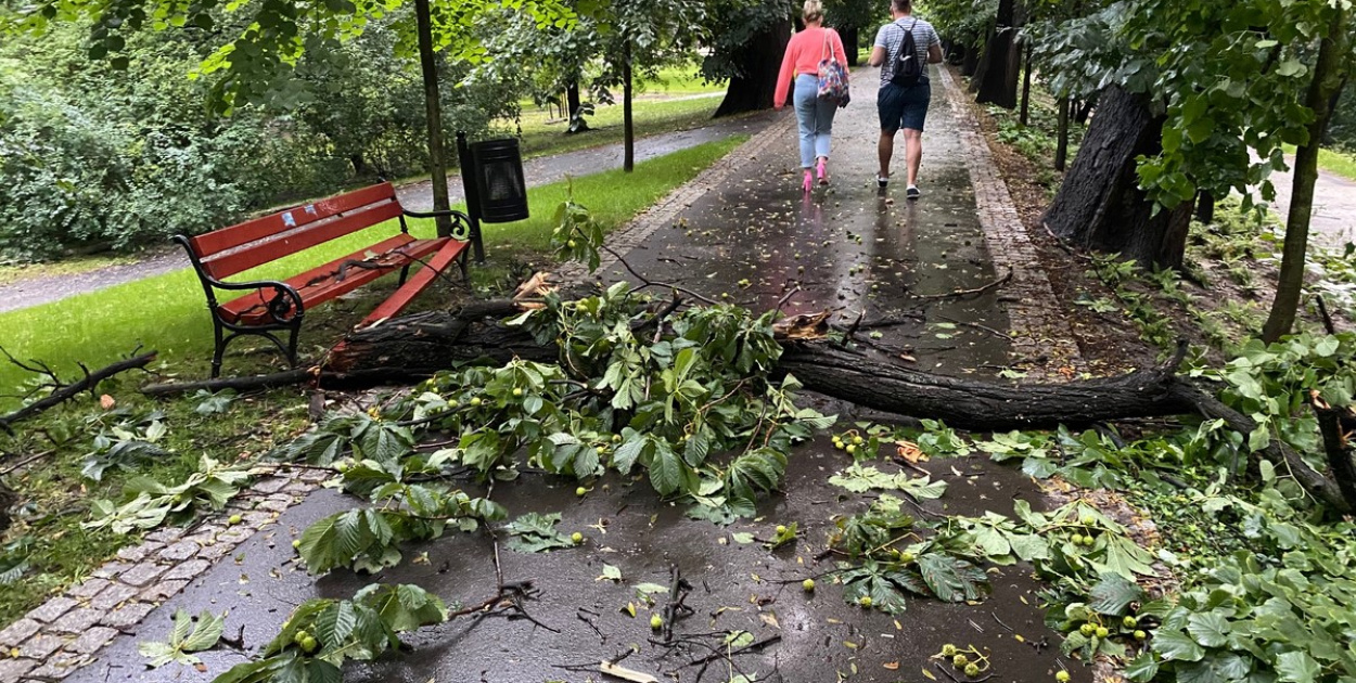 Strażacy podsumowali działania po nawałnicy. Jest sporo zniszczeń