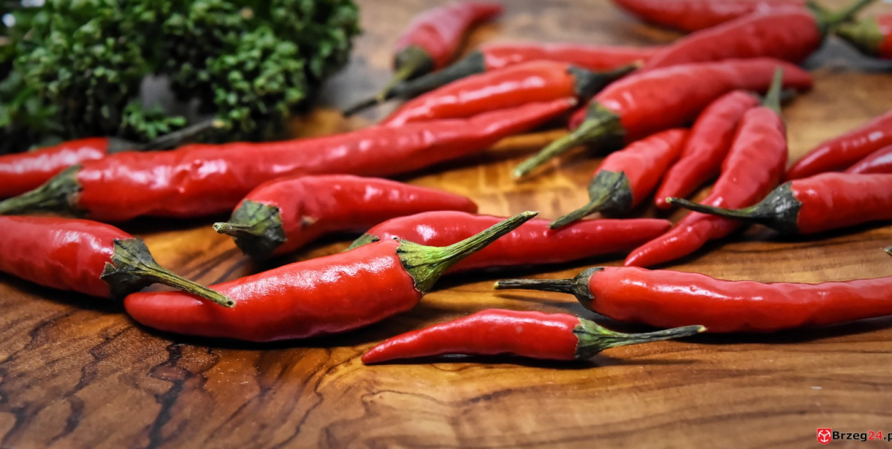 3. lipca. Dziś Dzień Czerwonej Ostrej Papryczki Chili