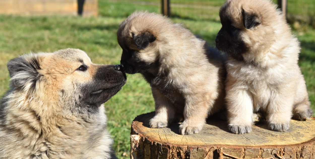 6. lipca. Dziś Światowy Dzień Pocałunku  Oraz Dzień Radcy Prawnego