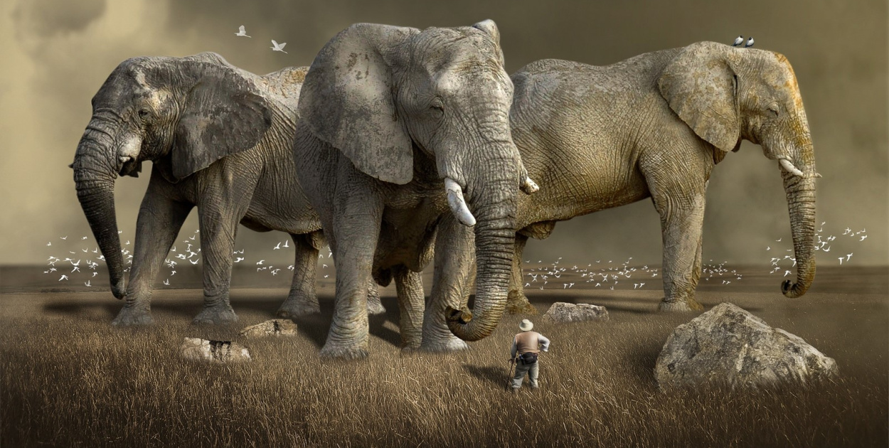  12. sierpnia. Dziś obchodzimy m.in. Międzynarodowy Dzień Młodzieży i…