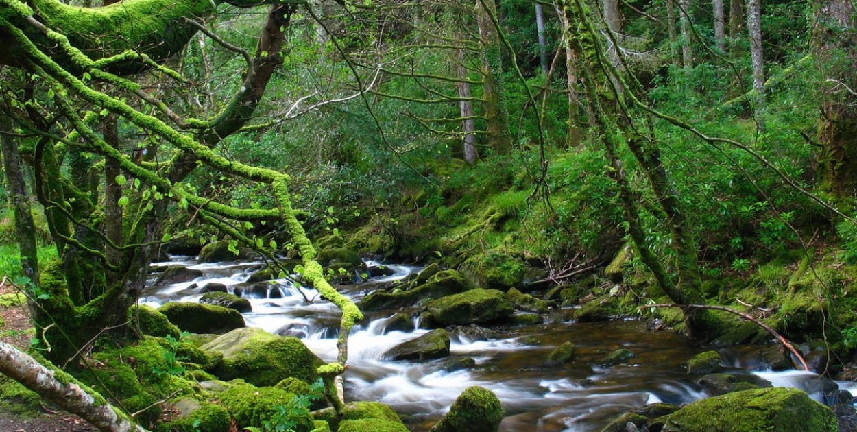 Oszczędzanie wody. Jak to robić i czy to jest ekologiczne?