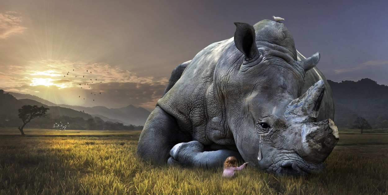 Jakie gatunki są zagrożone wyginięciem i dlaczego?