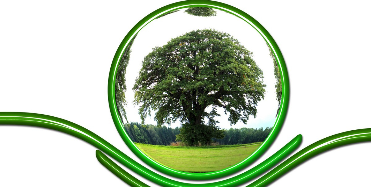  Ekologia nie tylko w domu - co robić w miejscach publicznych, żeby dbać…