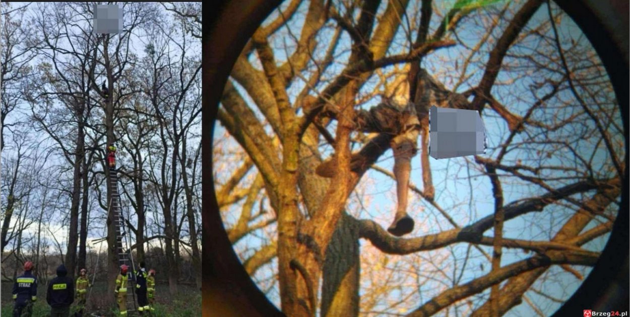 Tajemnica szkieletu na drzewie wyjaśniona. To zaginiony mieszkaniec Brzegu