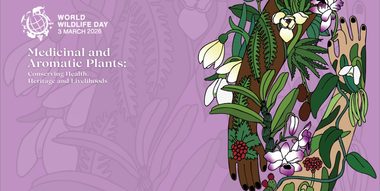 3 marca pod znakiem natury. Światowy Dzień Dzikiej Przyrody na pierwszym planie