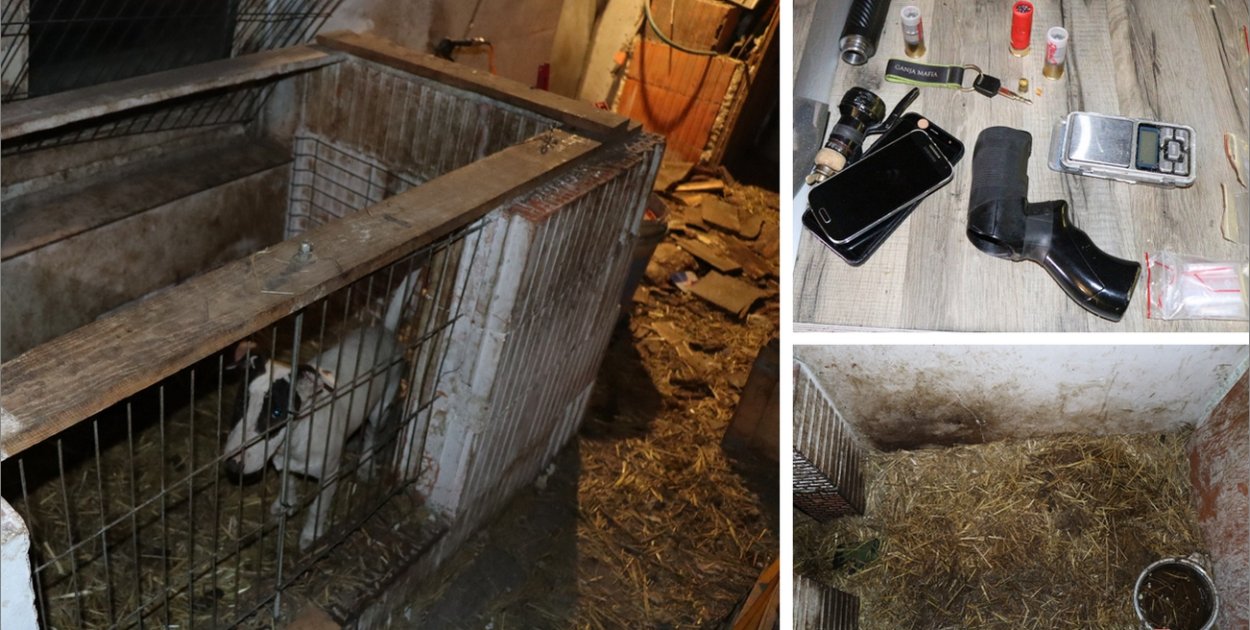 Tarnowiec. Nie tylko powieszony pies. Policja ujawniła broń i narkotyki