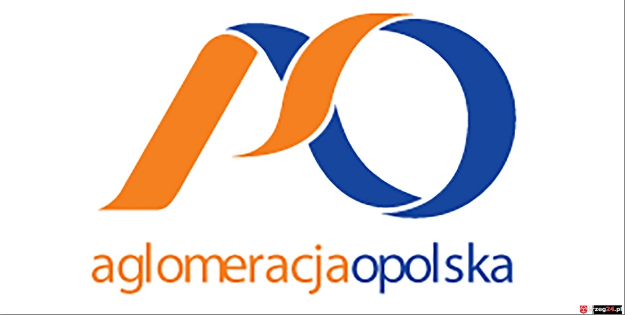 Mieszkańcy Lewina Brzeskiego mogą zdecydować o energii. Ruszyła ankieta