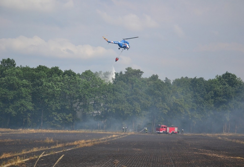 Pożar lasu i zboża w Kopicach. Helikopter gaśniczy w akcji