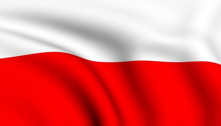 Reprezentacja Polski zagra w Brzegu!