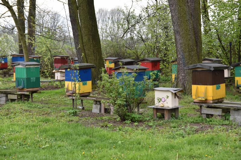 Kronika 112: Kradną co się da – nawet rodziny pszczół i ule