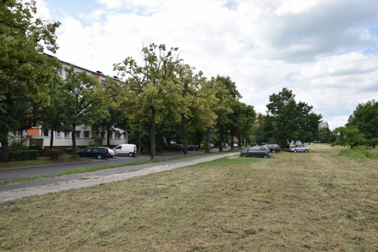 Rządowy program „Mieszkanie plus” w Brzegu? Radny składa wniosek