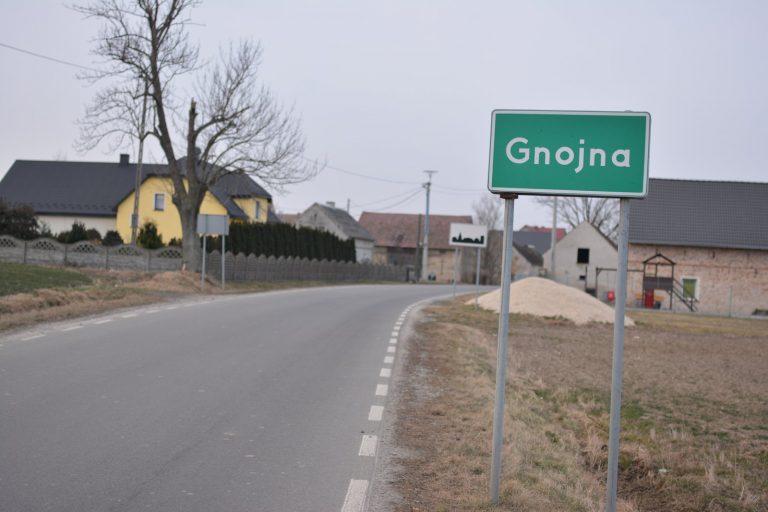 Budowa chodników w Gnojnej i Żelaznej oraz remont drogi Strzegów-Bogdanów