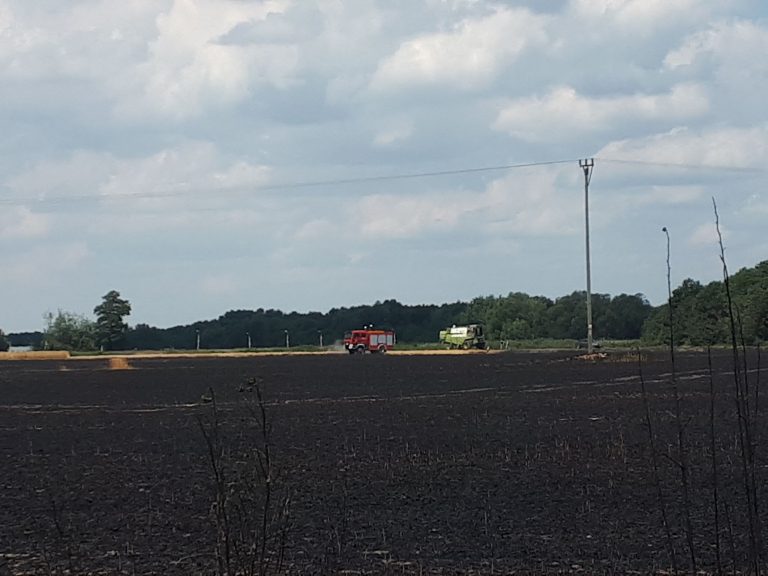W Gierszowicach spłonęło ok. 7 ha zboża. Do akcji zadysponowano samolot gaśniczy