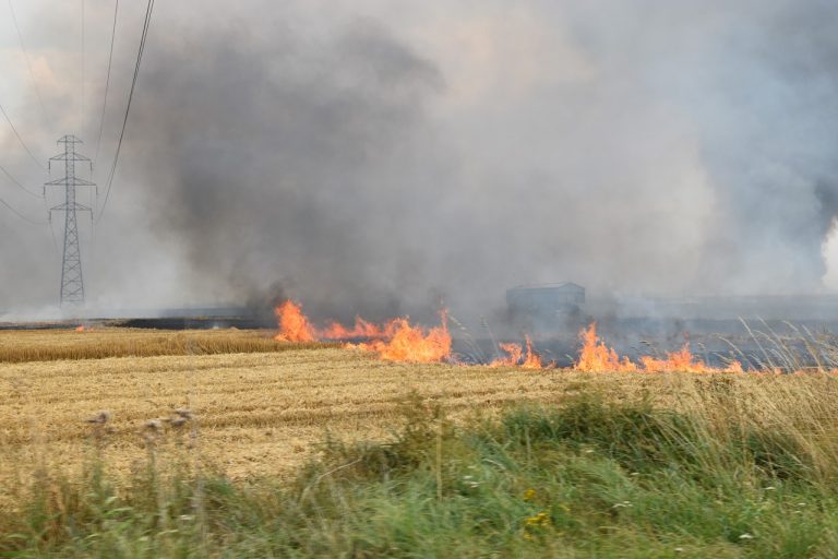 Strażacy z powiatu oławskiego i brzeskiego wspólnie walczyli z dużym pożarem zboża