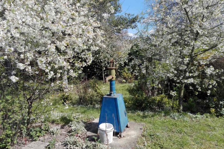 ROD „Przyszłość” w Grodkowie apeluje o rozwagę działkowiczów w użytkowaniu wody
