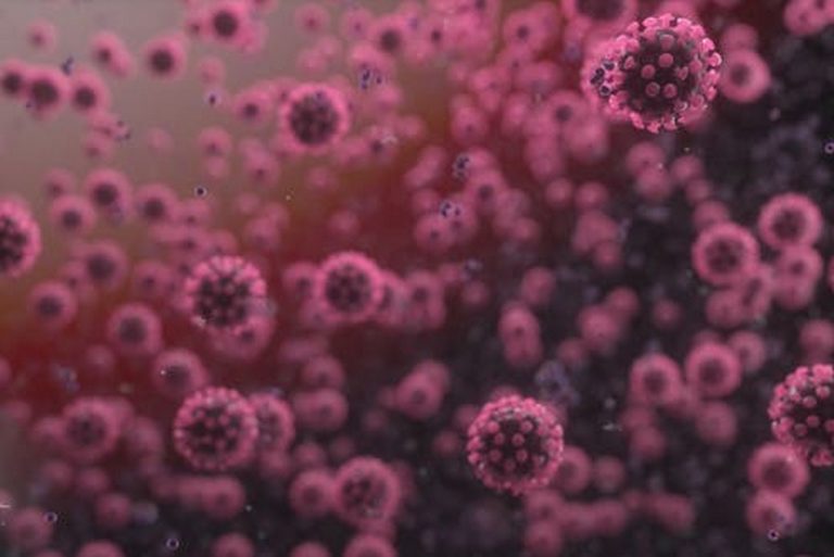 21 629 nowych zakażeń koronawirusem – najwięcej od początku epidemii, liczba przypadków przekroczyła 340 tys.
